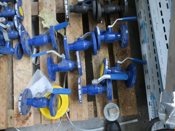 Used DN25 Manual ball valve DN25 - 10 pieces for Sale (Auction Premium) | NetBid Industrial Auctions